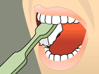 Brushing the outer, inner, and chewing surfaces of each tooth