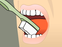 Using the tip of the brush on the inner surface of the front teeth